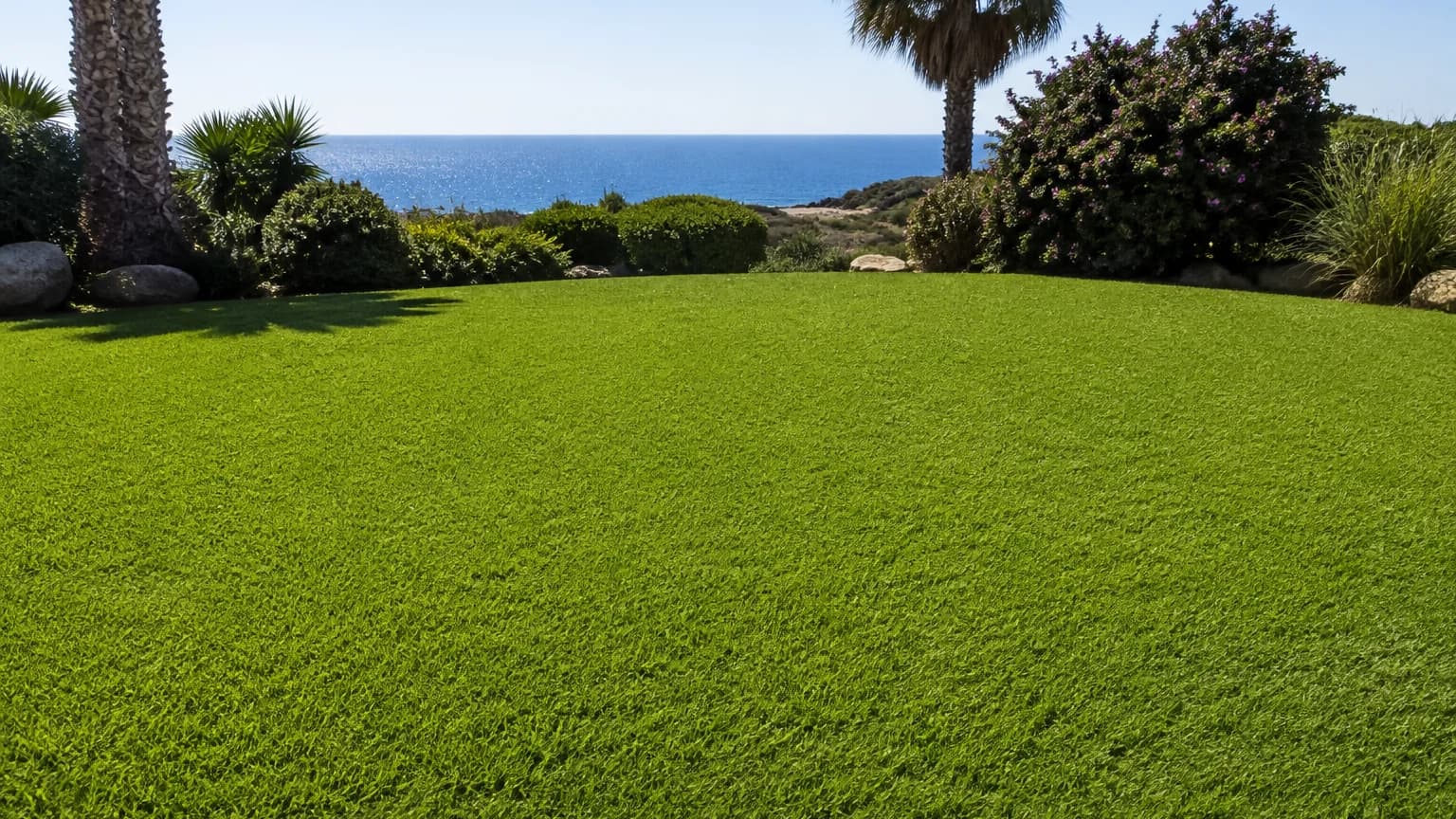 Bermuda Çim Nedir? Özellikleri ve Kullanım Alanları Nelerdir?