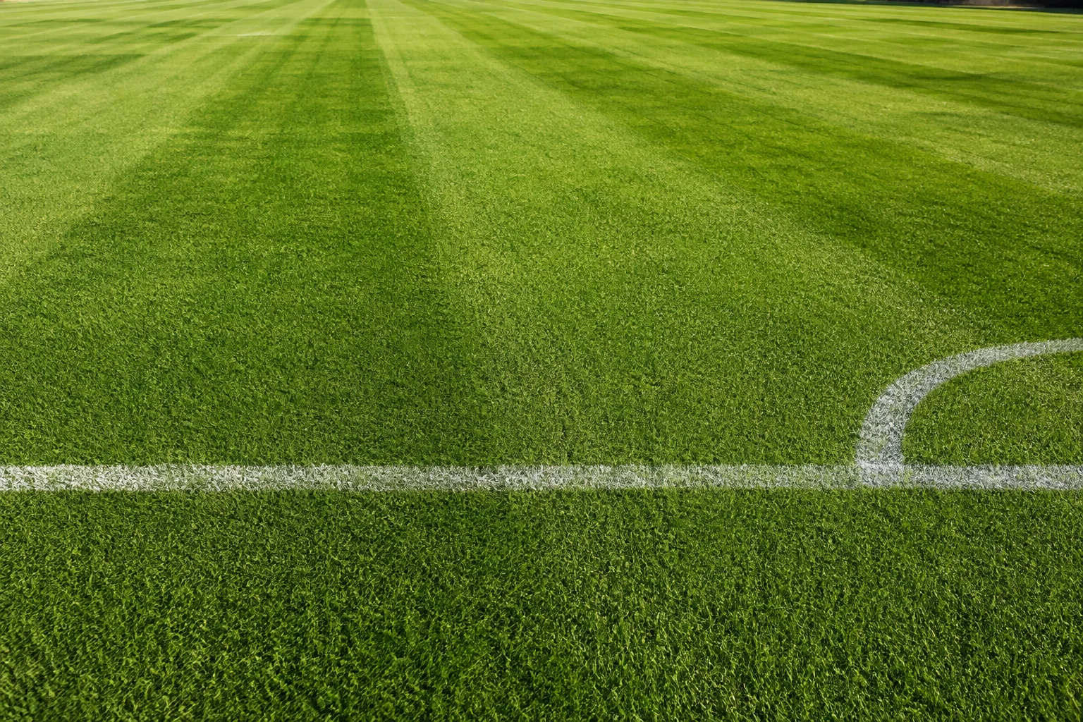 Biçim şeritleri görülen güneşli spor sahası çimi