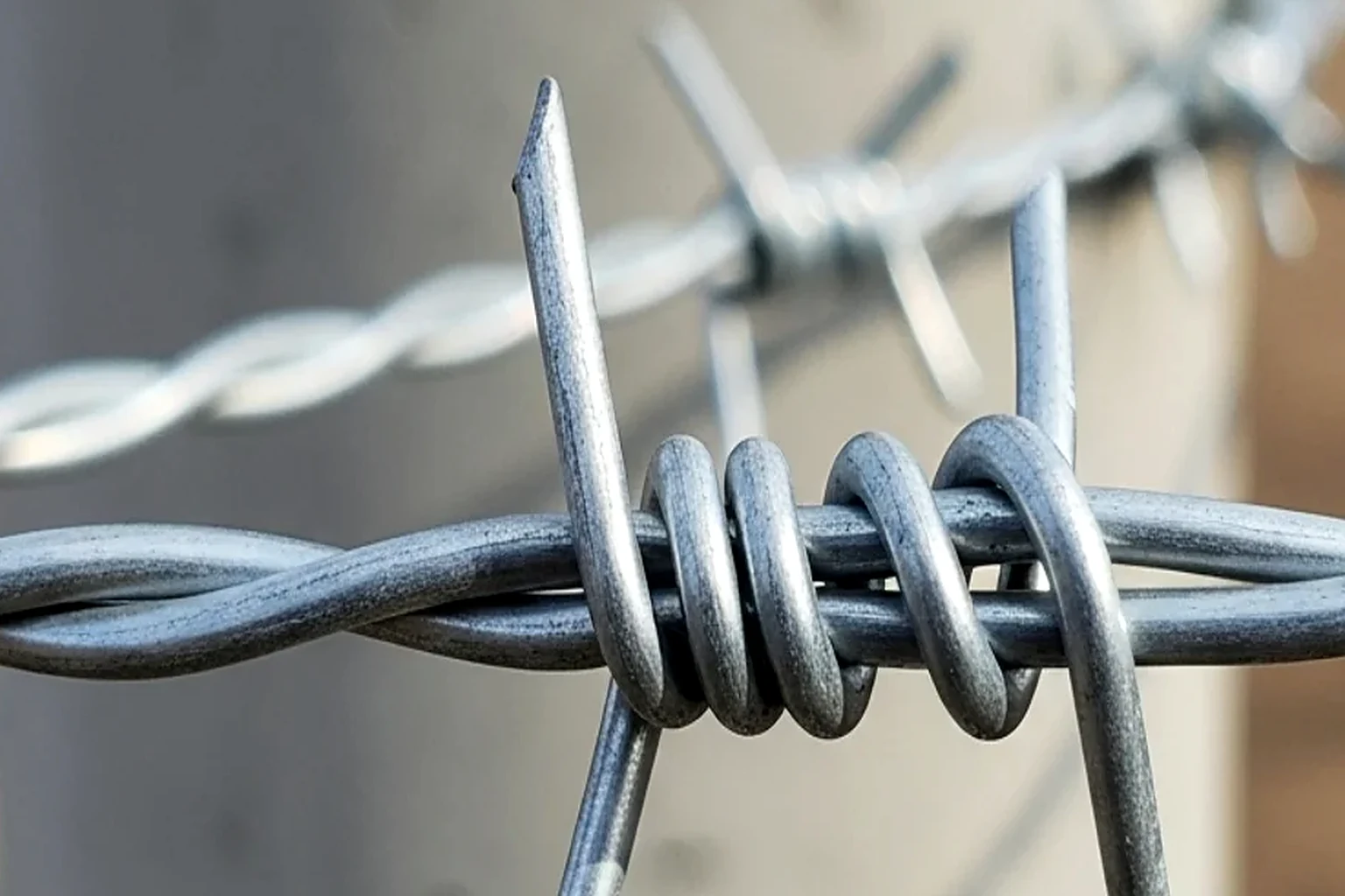 Dikenli tel düğümünde galvaniz tel detayı